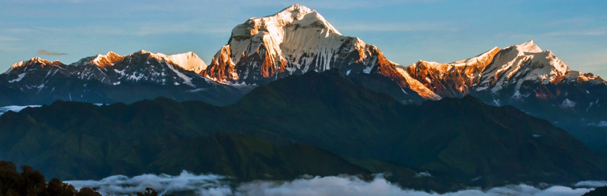 Chitwan Ghorepani Trip