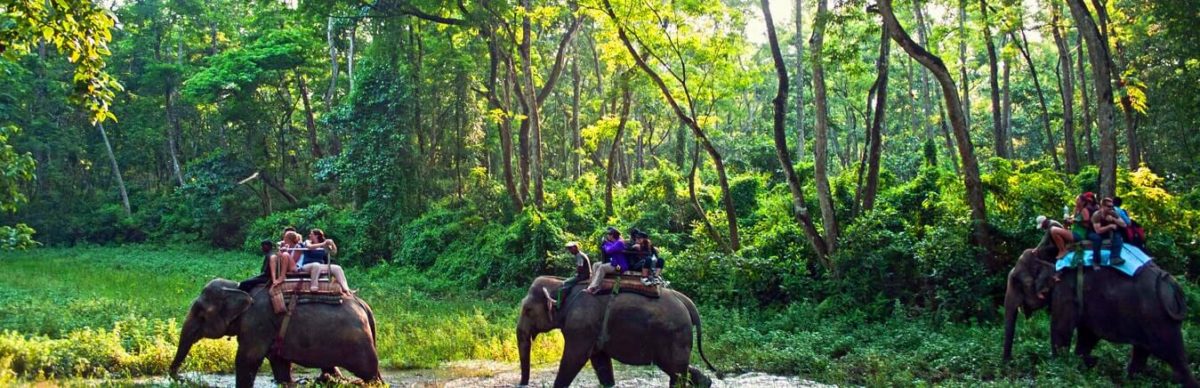 Chitwan Jungle Safari
