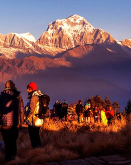Tips to find a Best Trekking Agency in Nepal